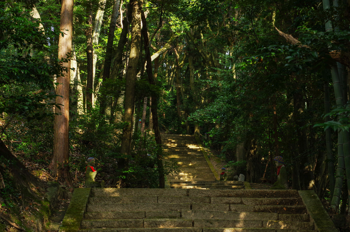 f:id:blue_rock53:20220109153153j:plain