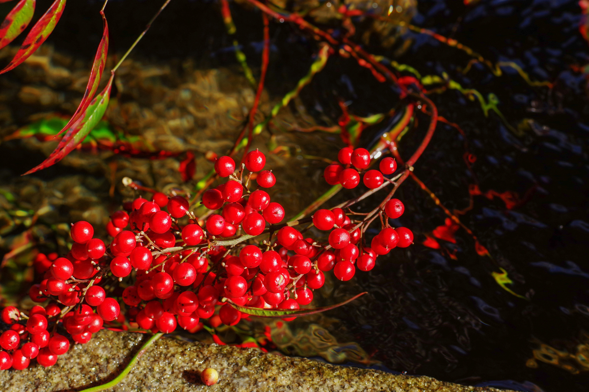 f:id:blue_rock53:20220109153437j:plain