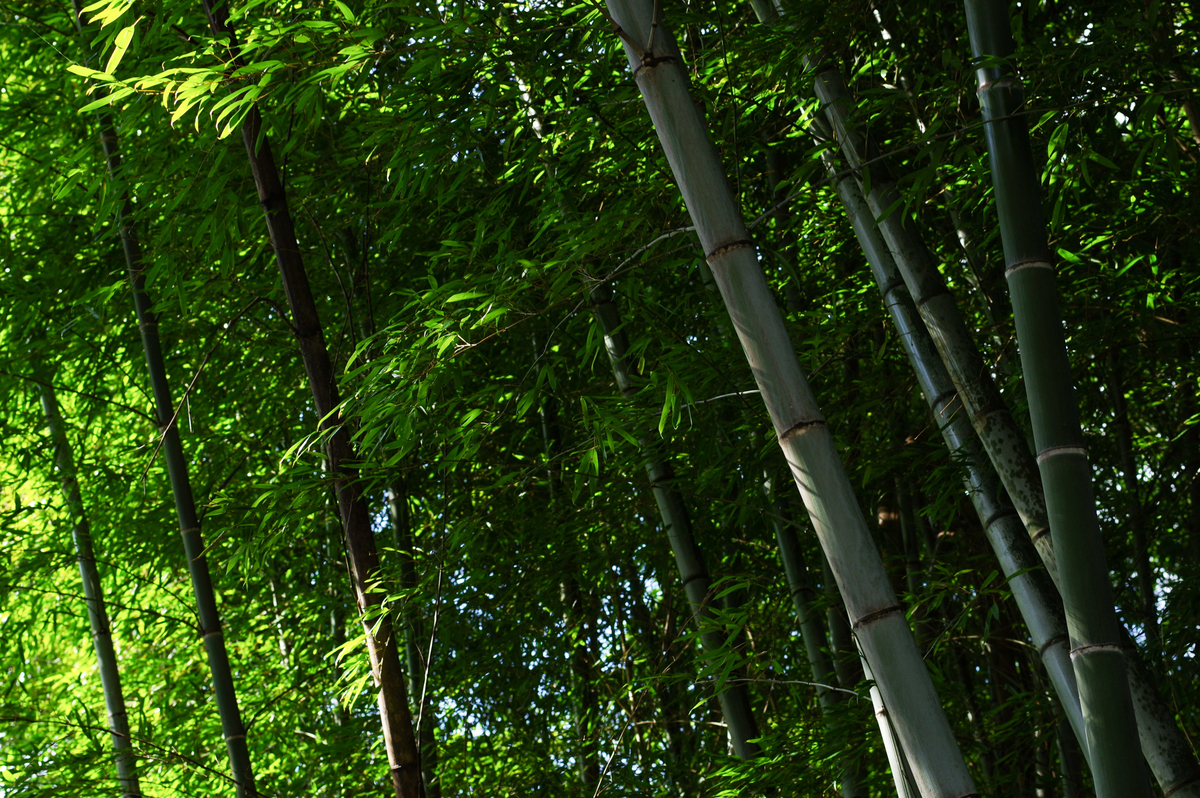 f:id:blue_rock53:20220109153627j:plain