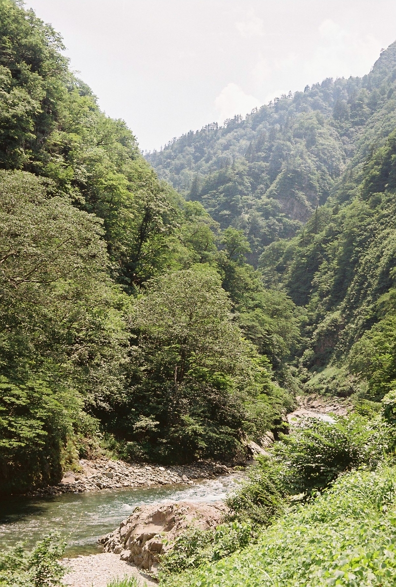 f:id:blue_rock53:20220326215137j:plain