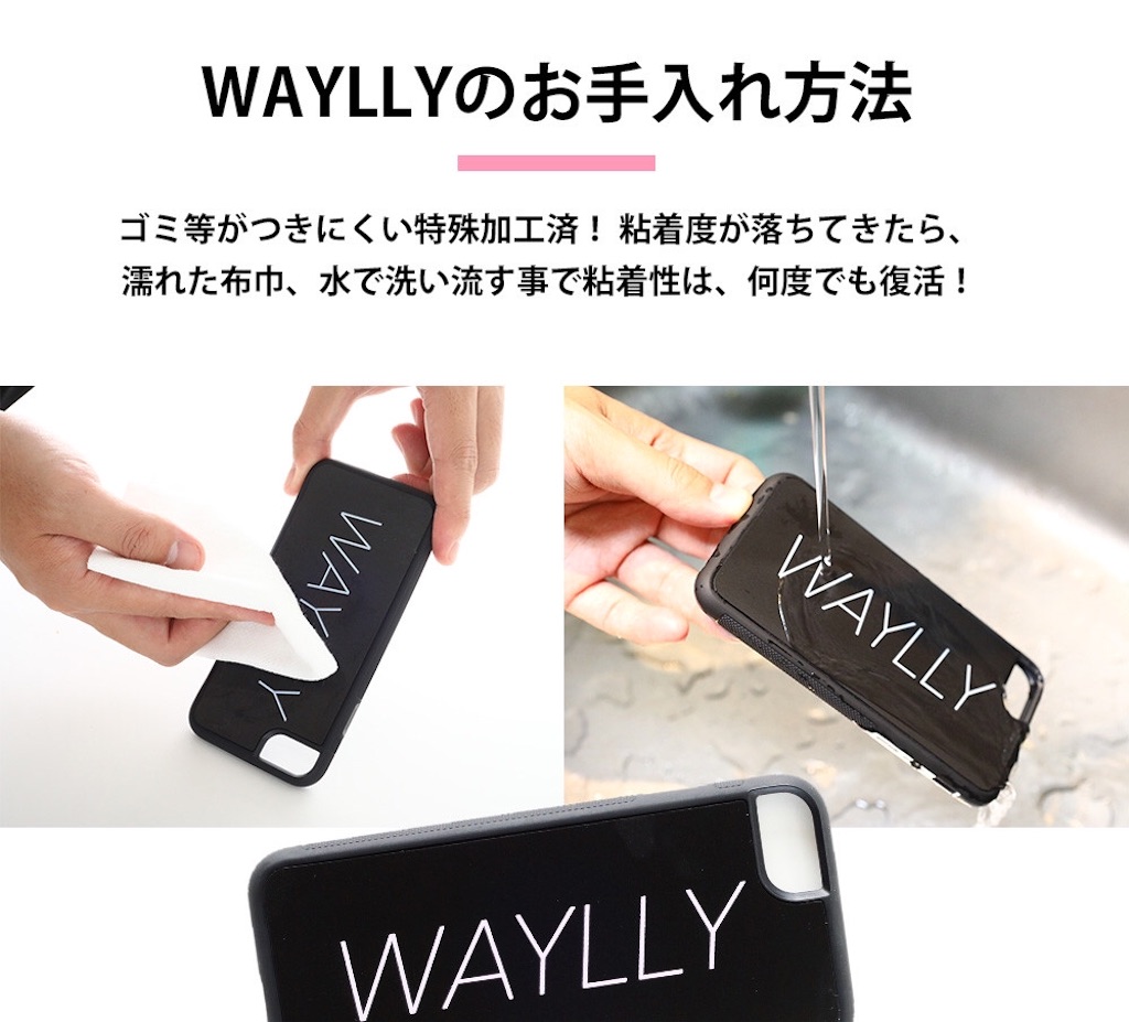 f:id:blue_sizuku:20190217130049j:image