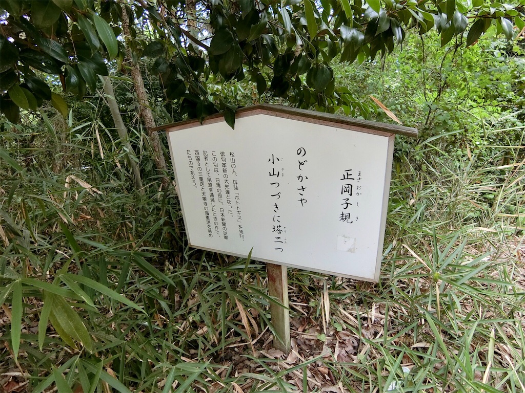 f:id:blue_sky_mew:20220917104344j:image f:id:blue_sky_mew:20220917104344j:image