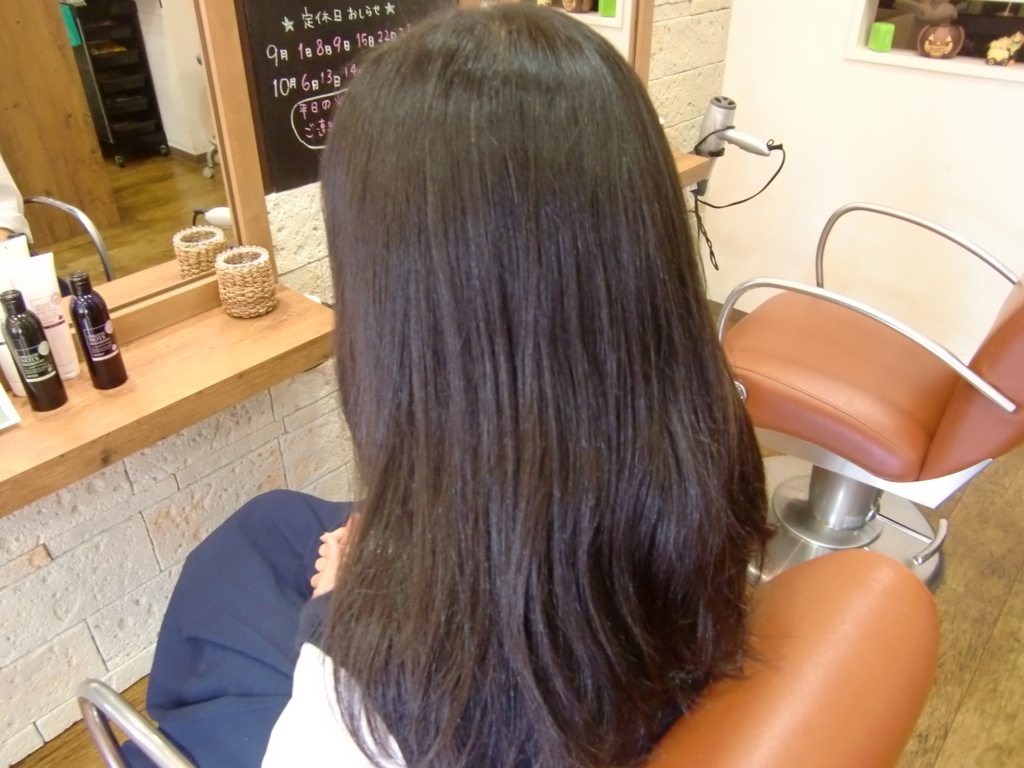 f:id:blueair0910:20170808225156j:plain f:id:blueair0910:20170808225156j:plain