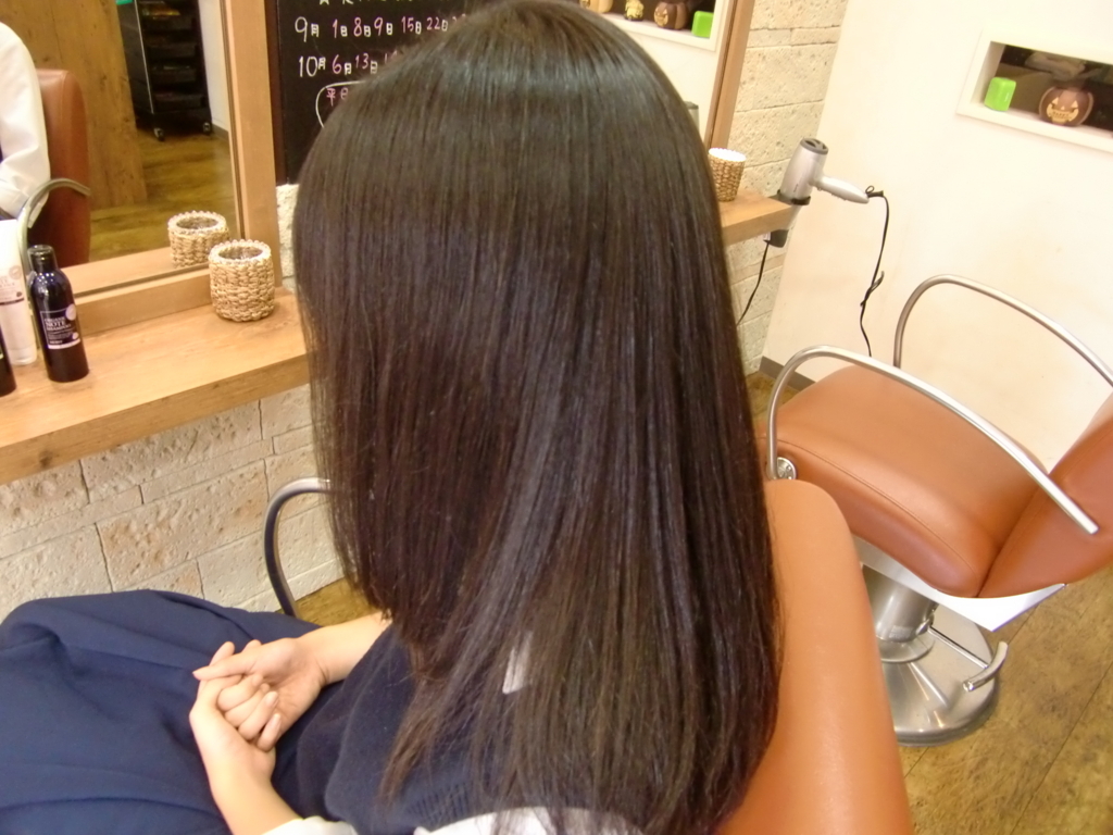 f:id:blueair0910:20170808225229j:plain f:id:blueair0910:20170808225229j:plain