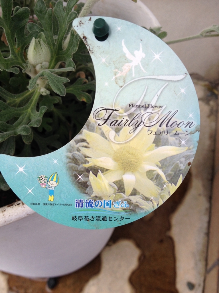 f:id:bluebeemoon:20180324154036j:plain f:id:bluebeemoon:20180324154036j:plain