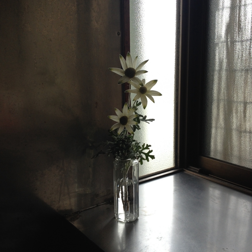 f:id:bluebeemoon:20180324154920j:plain f:id:bluebeemoon:20180324154920j:plain