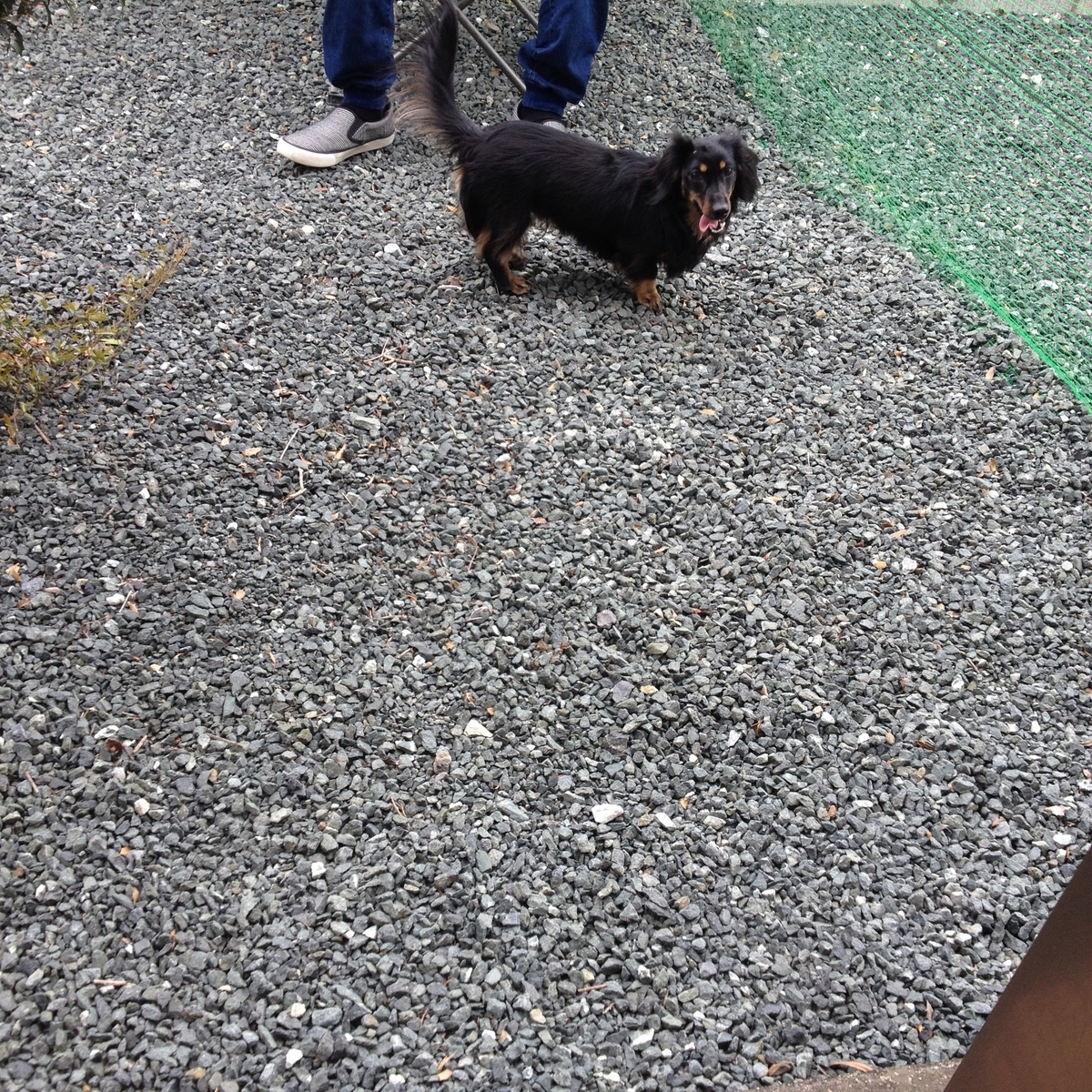 f:id:bluebeemoon:20190429111109j:plain