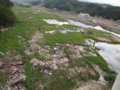 [［東日本大震災］]