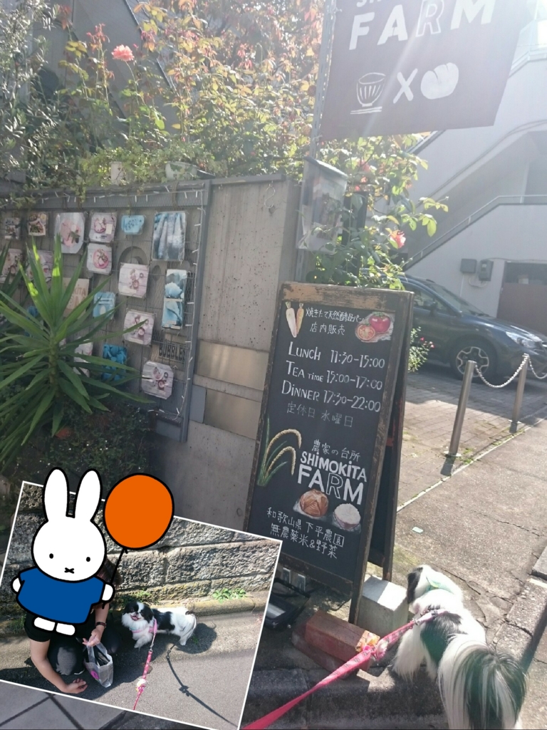 f:id:blueberryichigo:20161013222542j:plain
