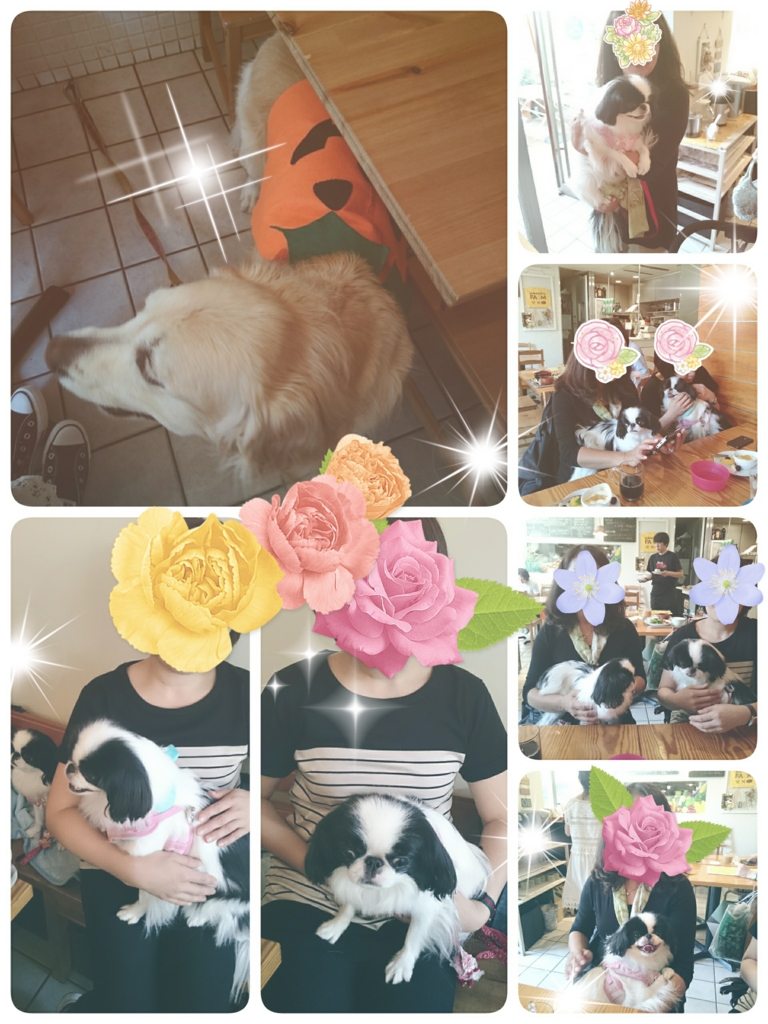 f:id:blueberryichigo:20161014104541j:plain