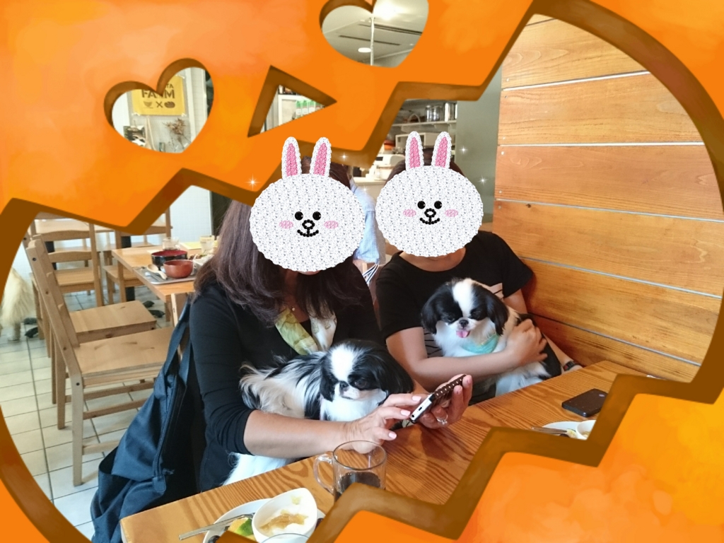 f:id:blueberryichigo:20161014112736j:plain