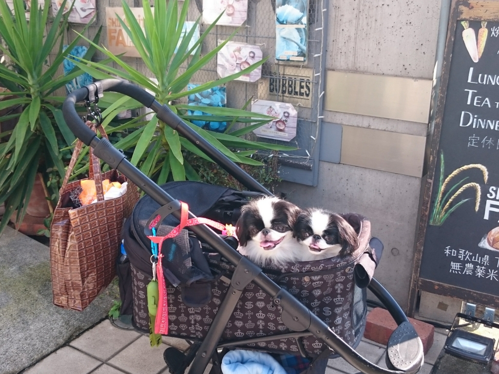 f:id:blueberryichigo:20161014232901j:plain