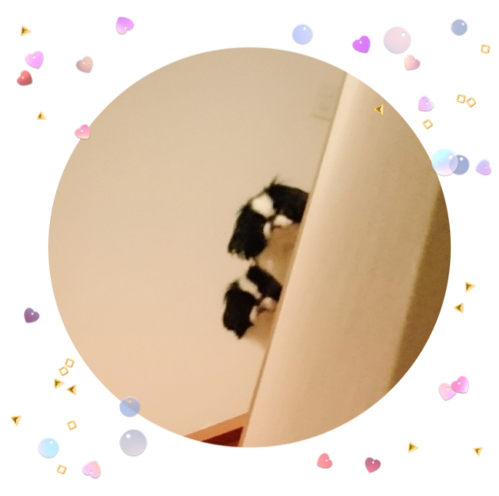 f:id:blueberryichigo:20161207185314j:plain