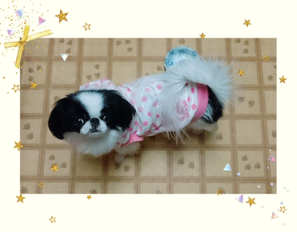 f:id:blueberryichigo:20161207192059j:plain