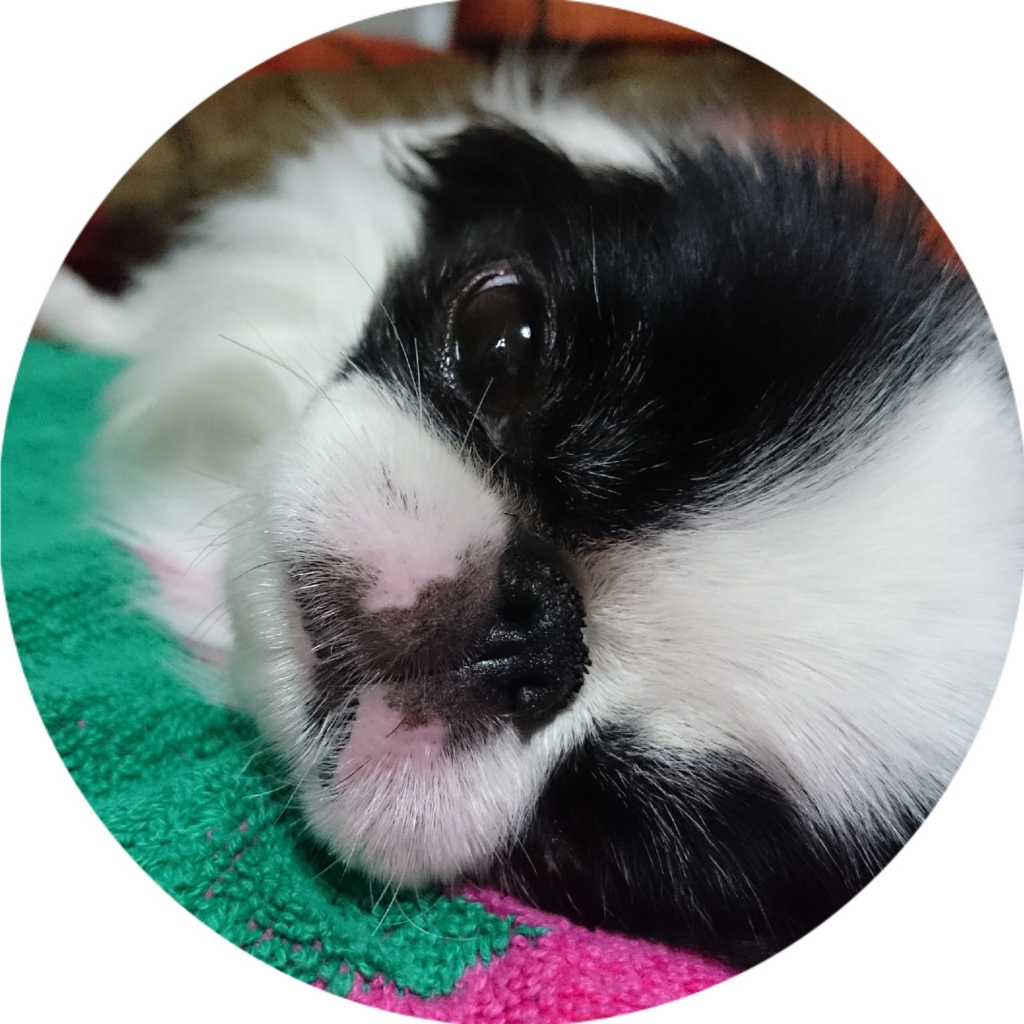 f:id:blueberryichigo:20161207200513j:plain