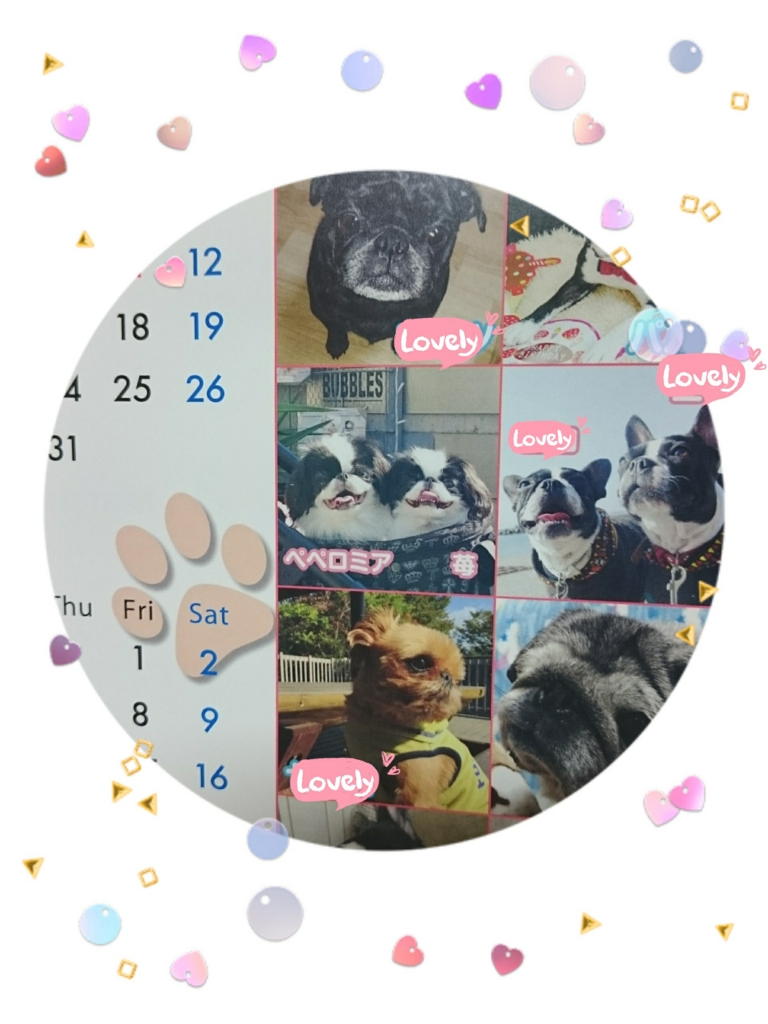 f:id:blueberryichigo:20161207201258j:plain