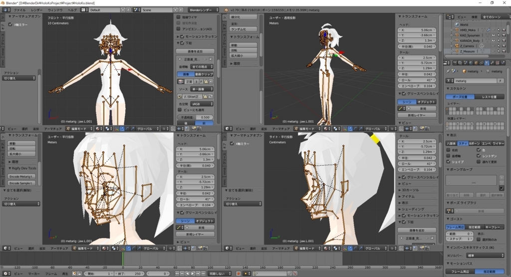 f:id:bluebirdofoz:20180603021932j:plain f:id:bluebirdofoz:20180603021932j:plain