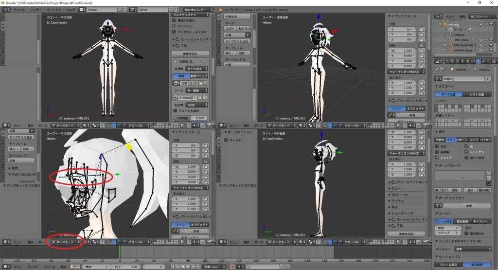 f:id:bluebirdofoz:20180604084620j:plain f:id:bluebirdofoz:20180604084620j:plain