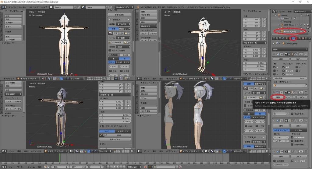 f:id:bluebirdofoz:20180609191054j:plain f:id:bluebirdofoz:20180609191054j:plain