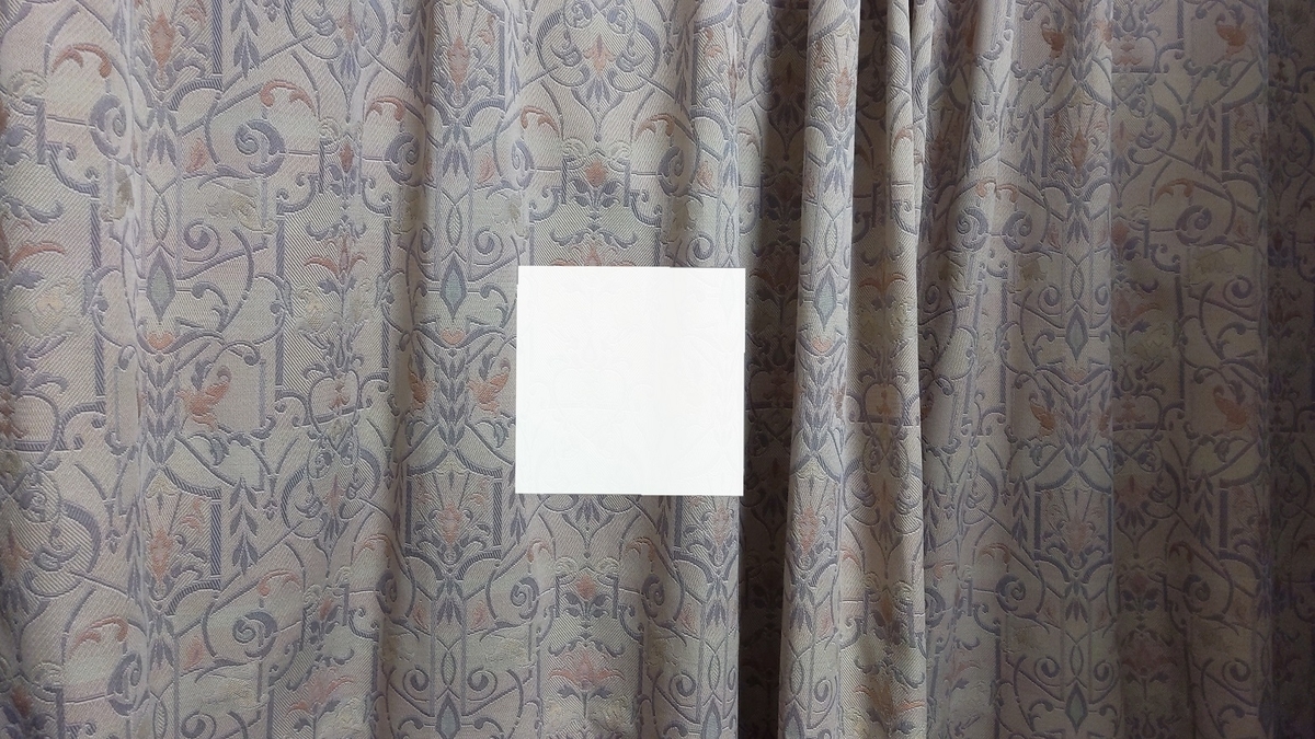 f:id:bluebirdofoz:20201230210412j:plain