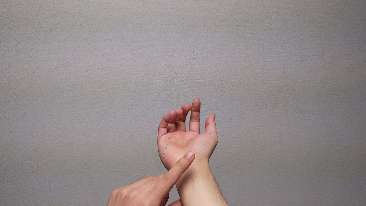 f:id:bluebirdofoz:20210203231101j:plain