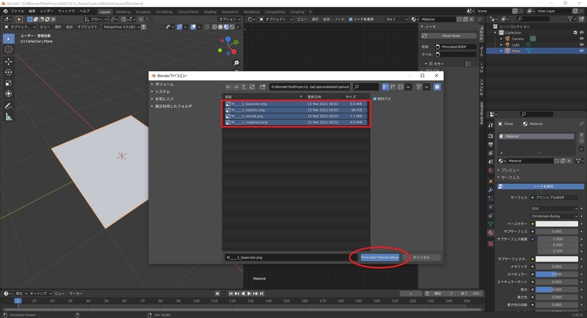 f:id:bluebirdofoz:20210317090836j:plain