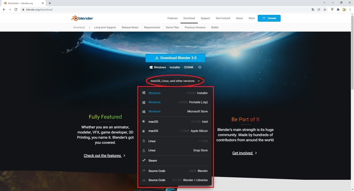 f:id:bluebirdofoz:20211206235014j:plain