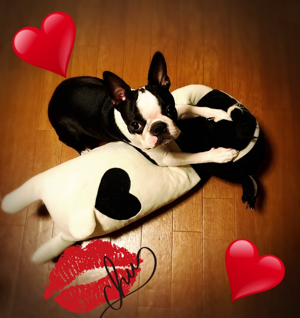 f:id:bluebluerbluest-tanikawa7:20170125211557j:plain