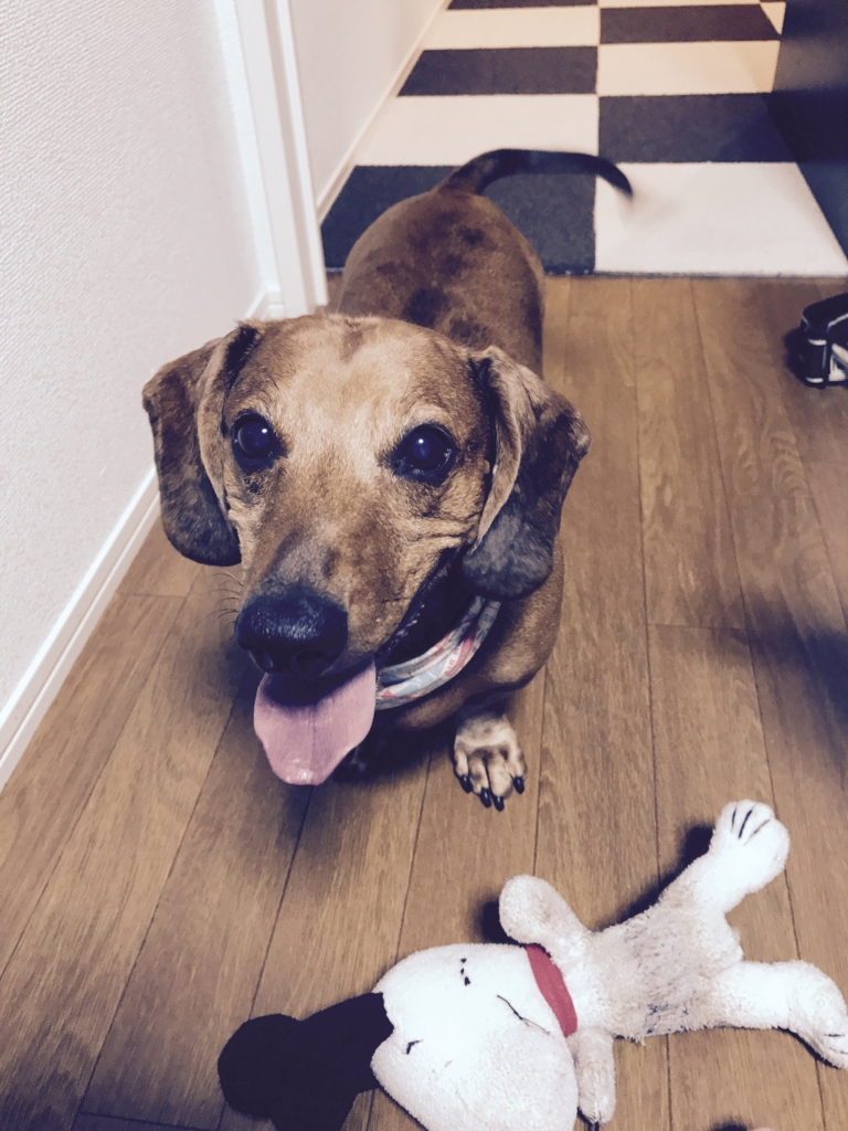 f:id:bluebluerbluest-tanikawa7:20170125211807j:plain