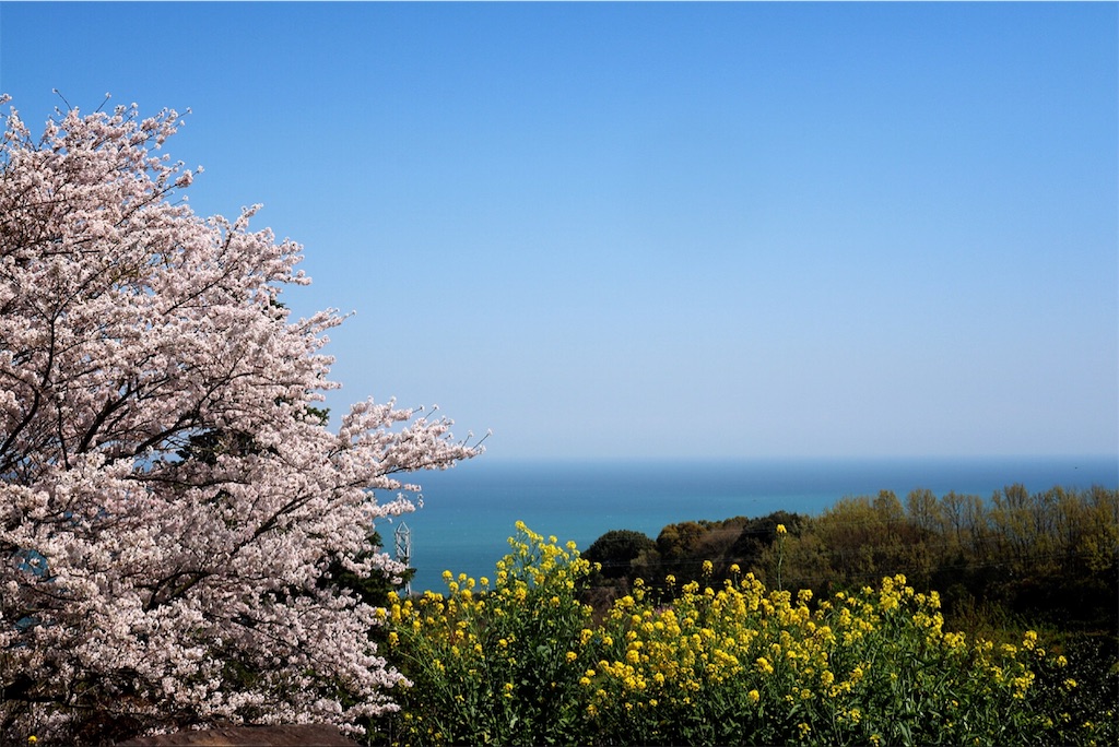 f:id:bluebluerbluest-tanikawa7:20170414094810j:image