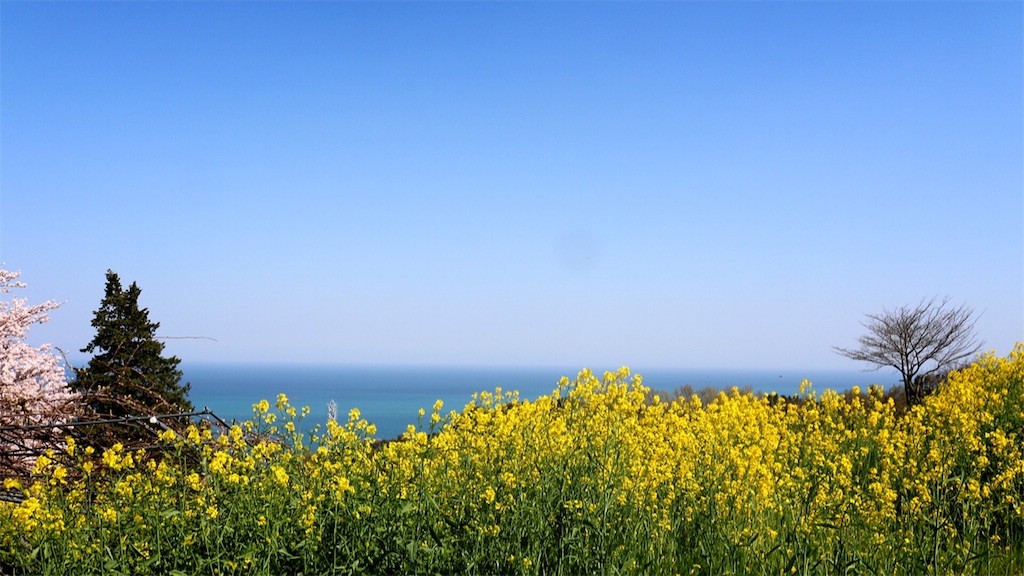 f:id:bluebluerbluest-tanikawa7:20170414100722j:image