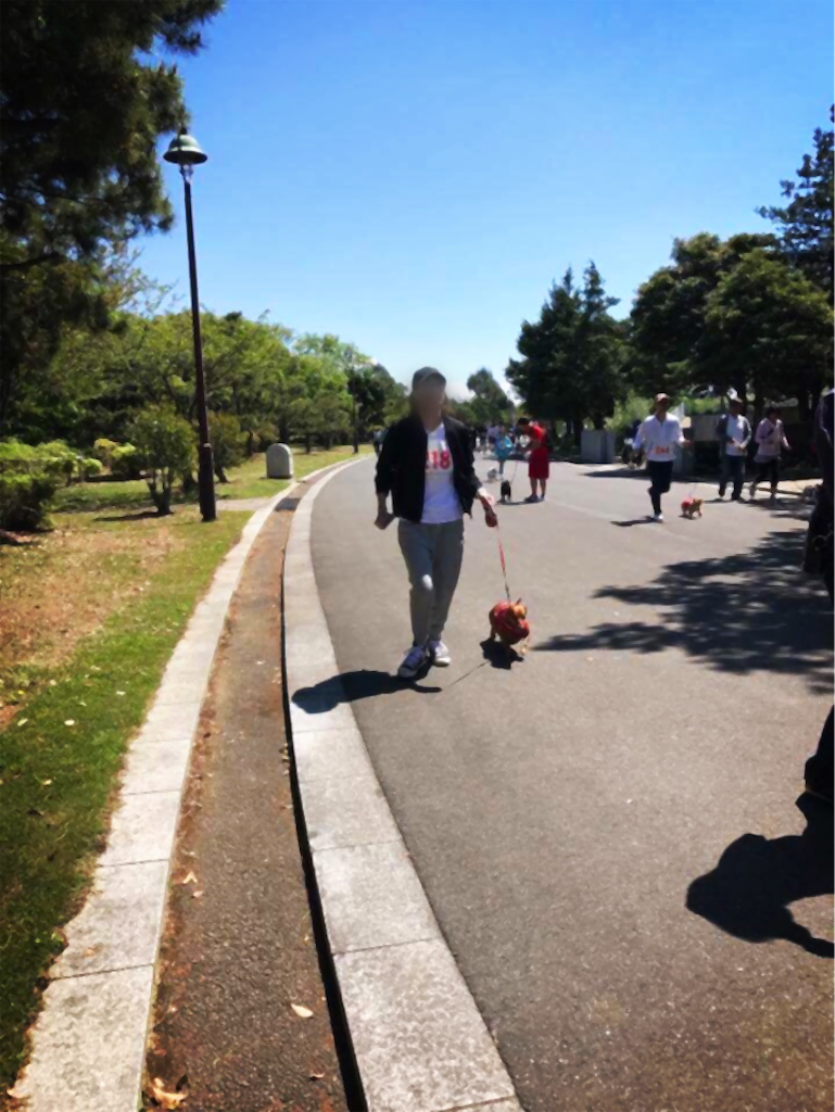 f:id:bluebluerbluest-tanikawa7:20170423223635p:image