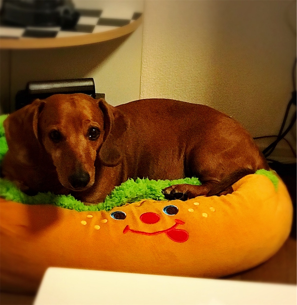 f:id:bluebluerbluest-tanikawa7:20170512084019j:image