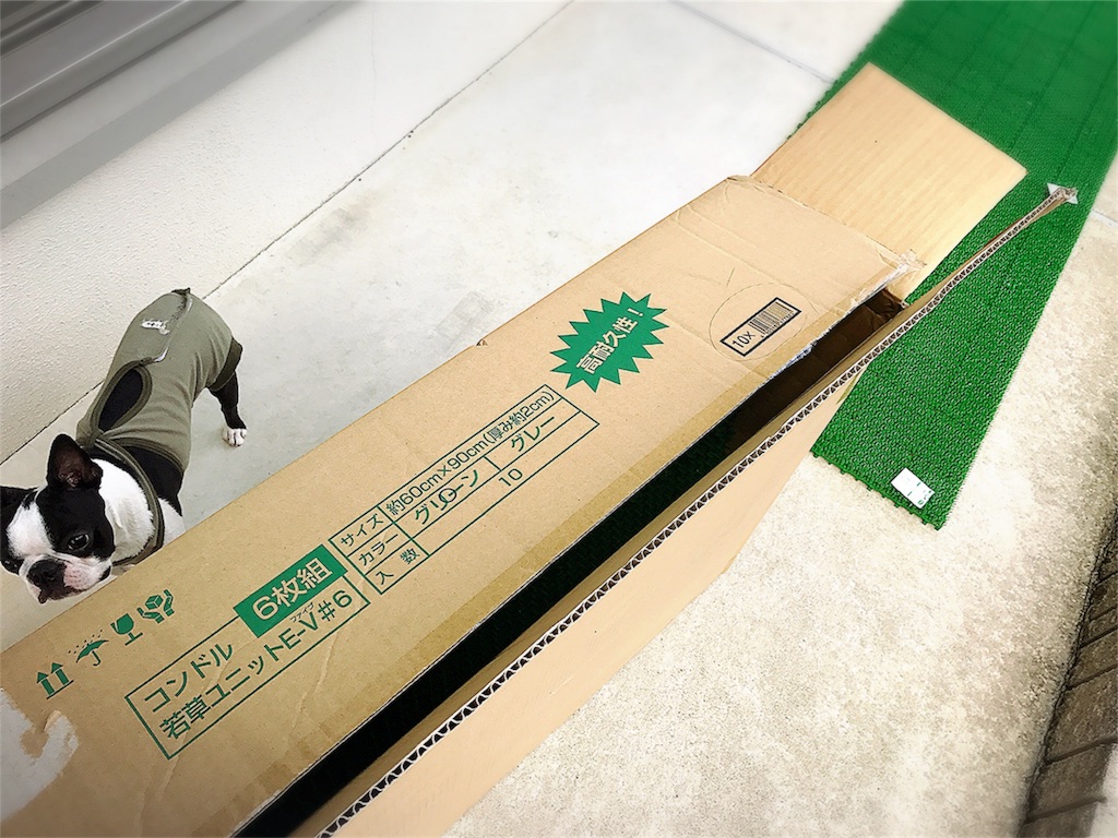 f:id:bluebluerbluest-tanikawa7:20170519090820j:image f:id:bluebluerbluest-tanikawa7:20170519090820j:image