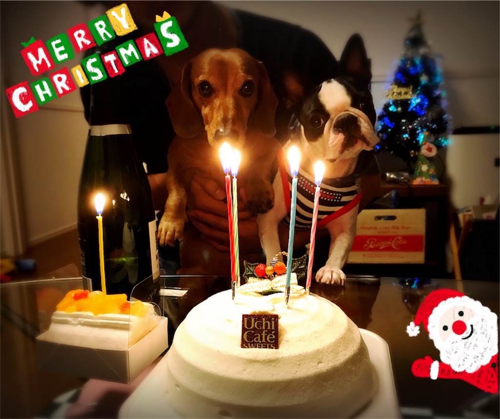 f:id:bluebluerbluest-tanikawa7:20171226104649j:image f:id:bluebluerbluest-tanikawa7:20171226104649j:image