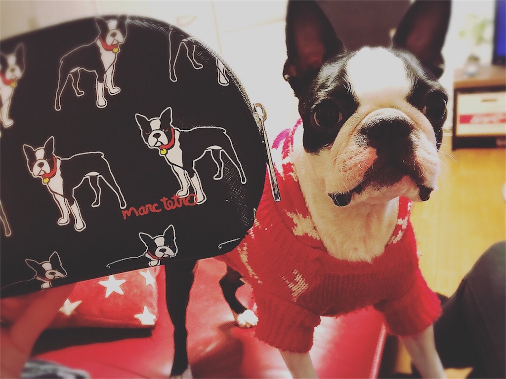 f:id:bluebluerbluest-tanikawa7:20180201105157j:image