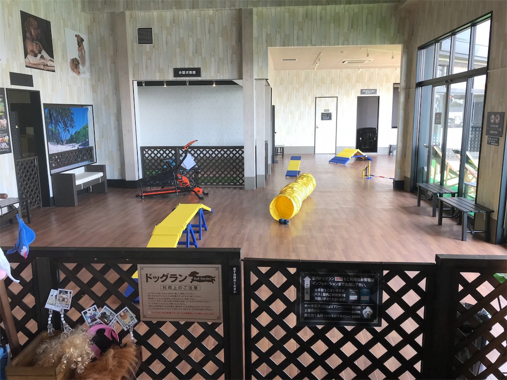 f:id:bluebluerbluest-tanikawa7:20180323110857j:image f:id:bluebluerbluest-tanikawa7:20180323110857j:image