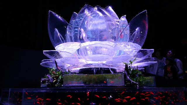 f:id:bluebright:20160925123415j:image