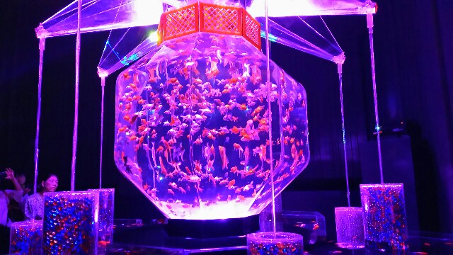 f:id:bluebright:20160925123522j:image