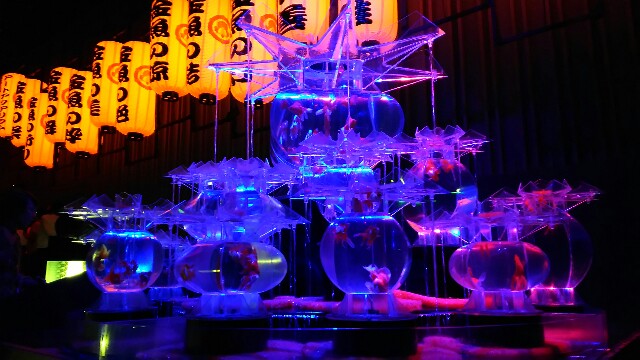 f:id:bluebright:20160925123655j:image