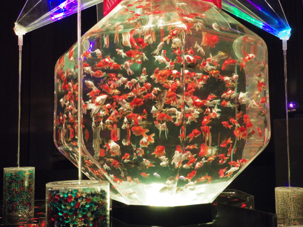 f:id:bluebright:20160925131141j:plain