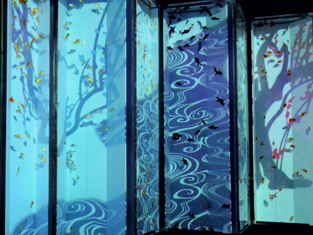 f:id:bluebright:20160925131205j:plain