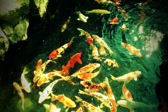 f:id:bluebright:20161017161148j:image f:id:bluebright:20161017161148j:image