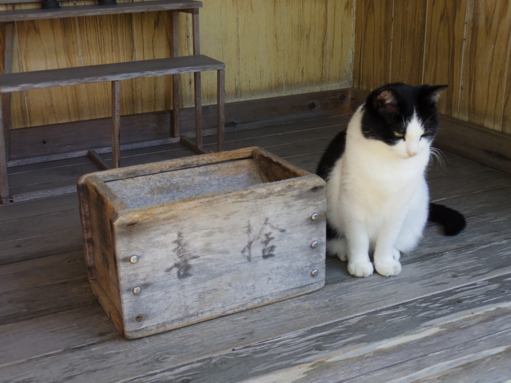 f:id:bluebright:20161017162409j:plain f:id:bluebright:20161017162409j:plain