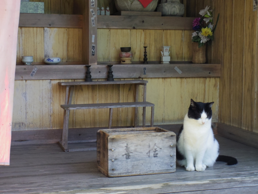 f:id:bluebright:20161017162431j:plain f:id:bluebright:20161017162431j:plain