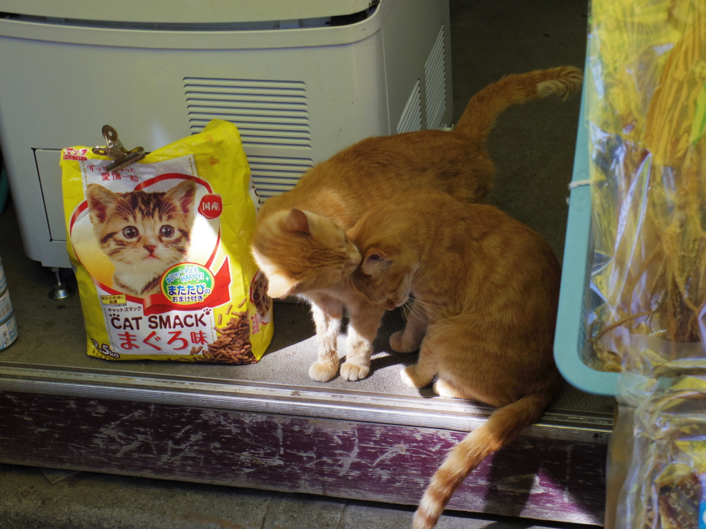 f:id:bluebright:20161017163115j:plain f:id:bluebright:20161017163115j:plain