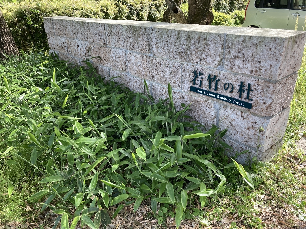 栃木県宇都宮市 Cmとかるろうに剣心の撮影舞台になった竹林が魅力 聖地巡礼にいかが 若竹の杜 シン 春夏冬広場