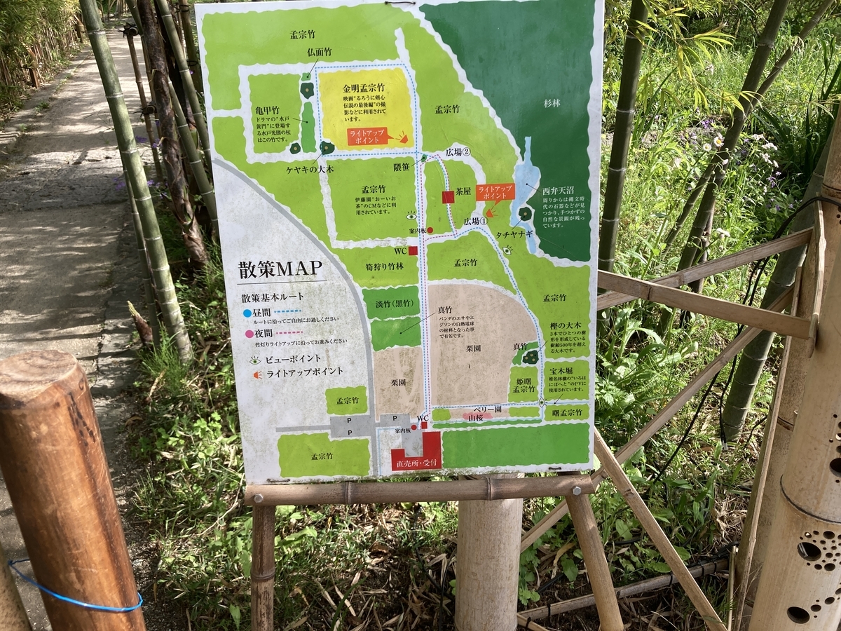 栃木県宇都宮市 Cmとかるろうに剣心の撮影舞台になった竹林が魅力 聖地巡礼にいかが 若竹の杜 シン 春夏冬広場