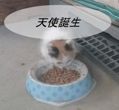 f:id:bluecat777y:20210627210346p:plain