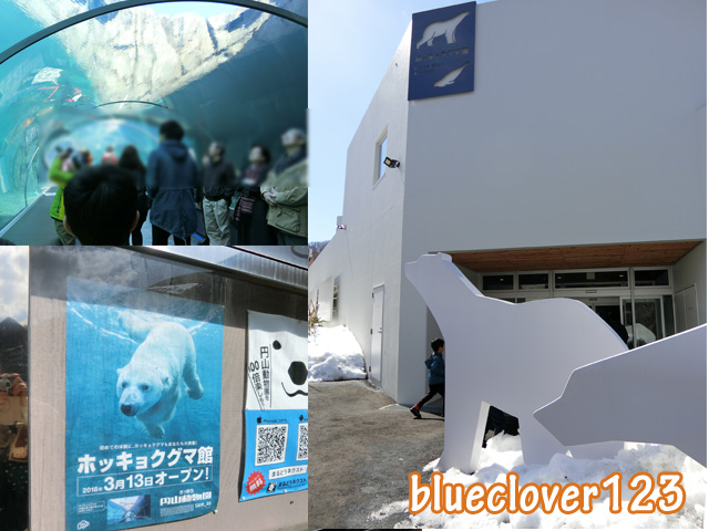 ホッキョクグマ館オープン!でも見られない…!?_子育てママの日々役に立ちそうなちょっとしたこと